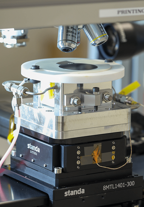 LabPhotos_Day01-58 2 3